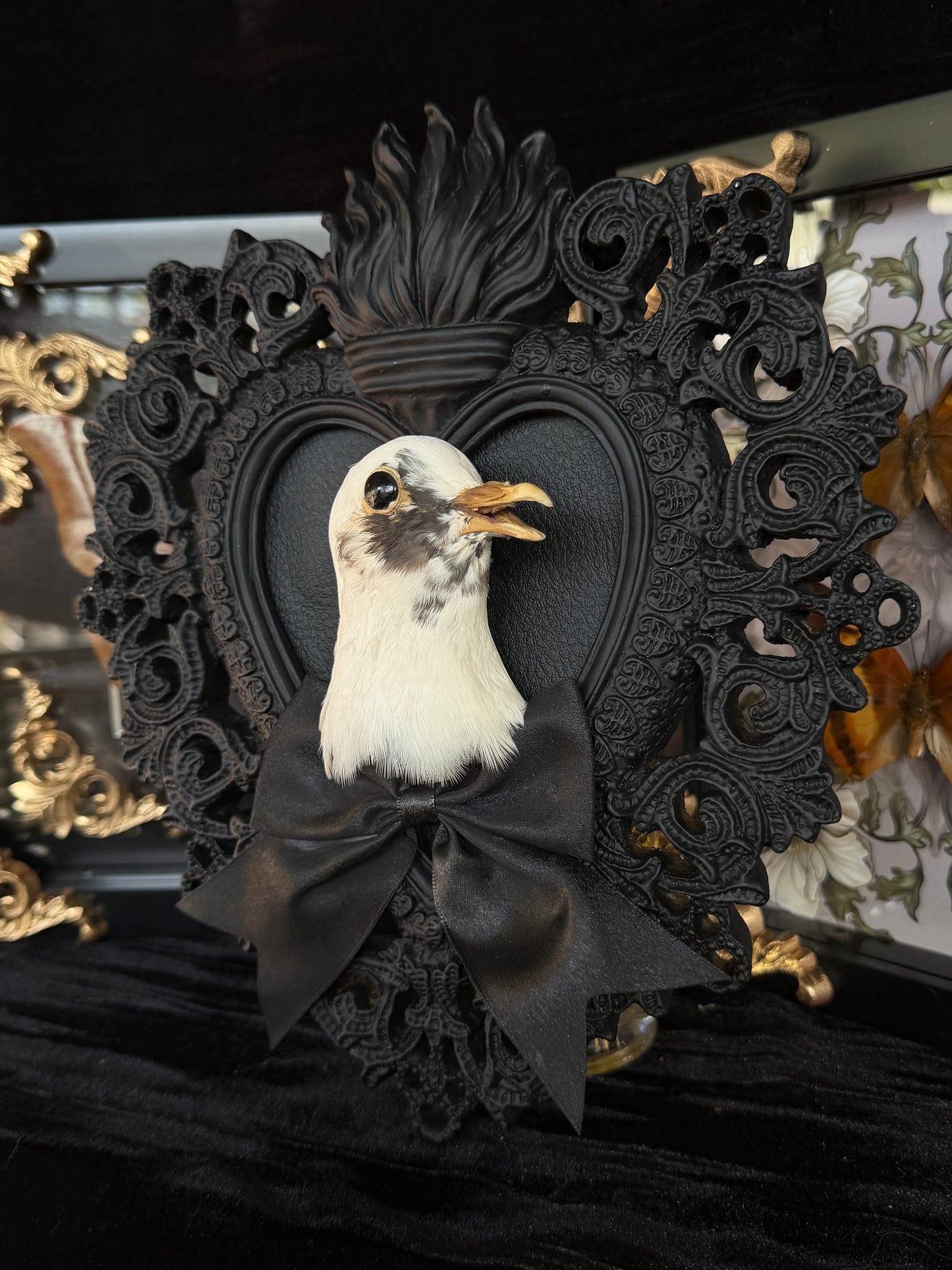 PIGEON HEAD - Mother of Hades Black Heart Open Display Frame