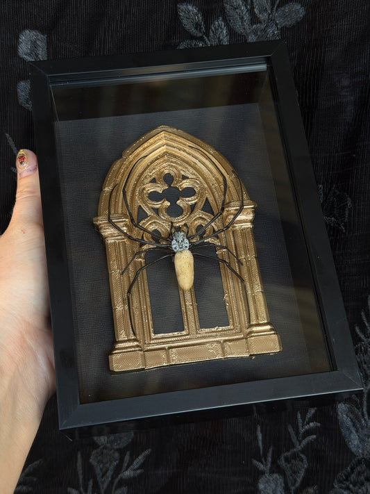 Gold Arch Orb Weaver Spider - Mother of Hades Framed Specimen