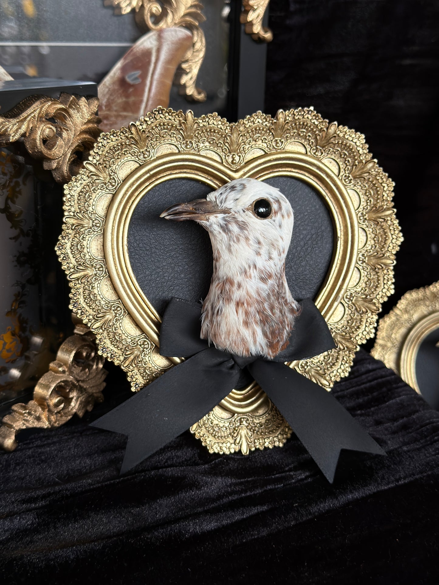 PIGEON HEAD - Mother of Hades Small Gold Heart Open Display Frame