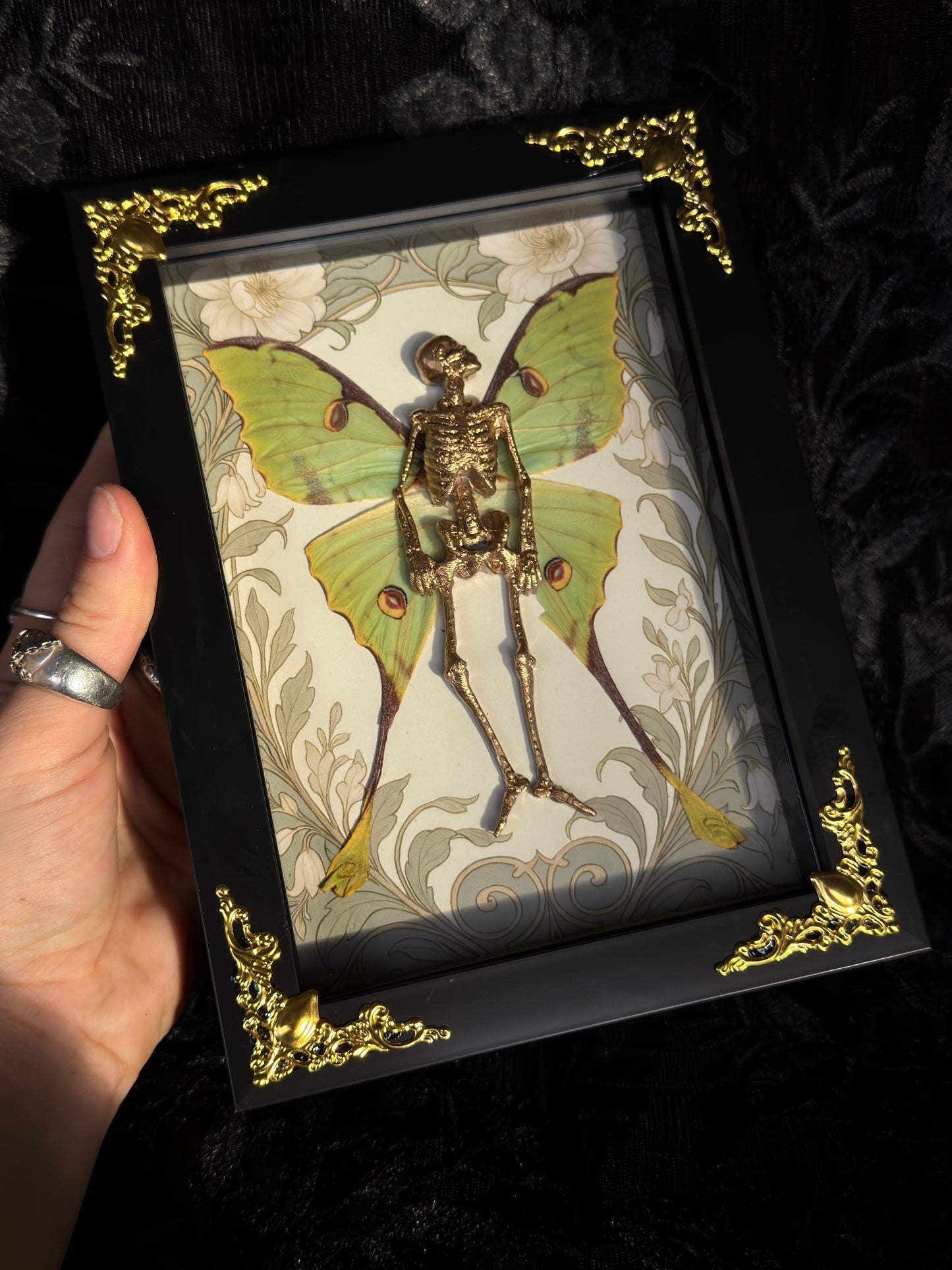 LA LUNA FAIRY - Mother of Hades Dead Fairy Frame