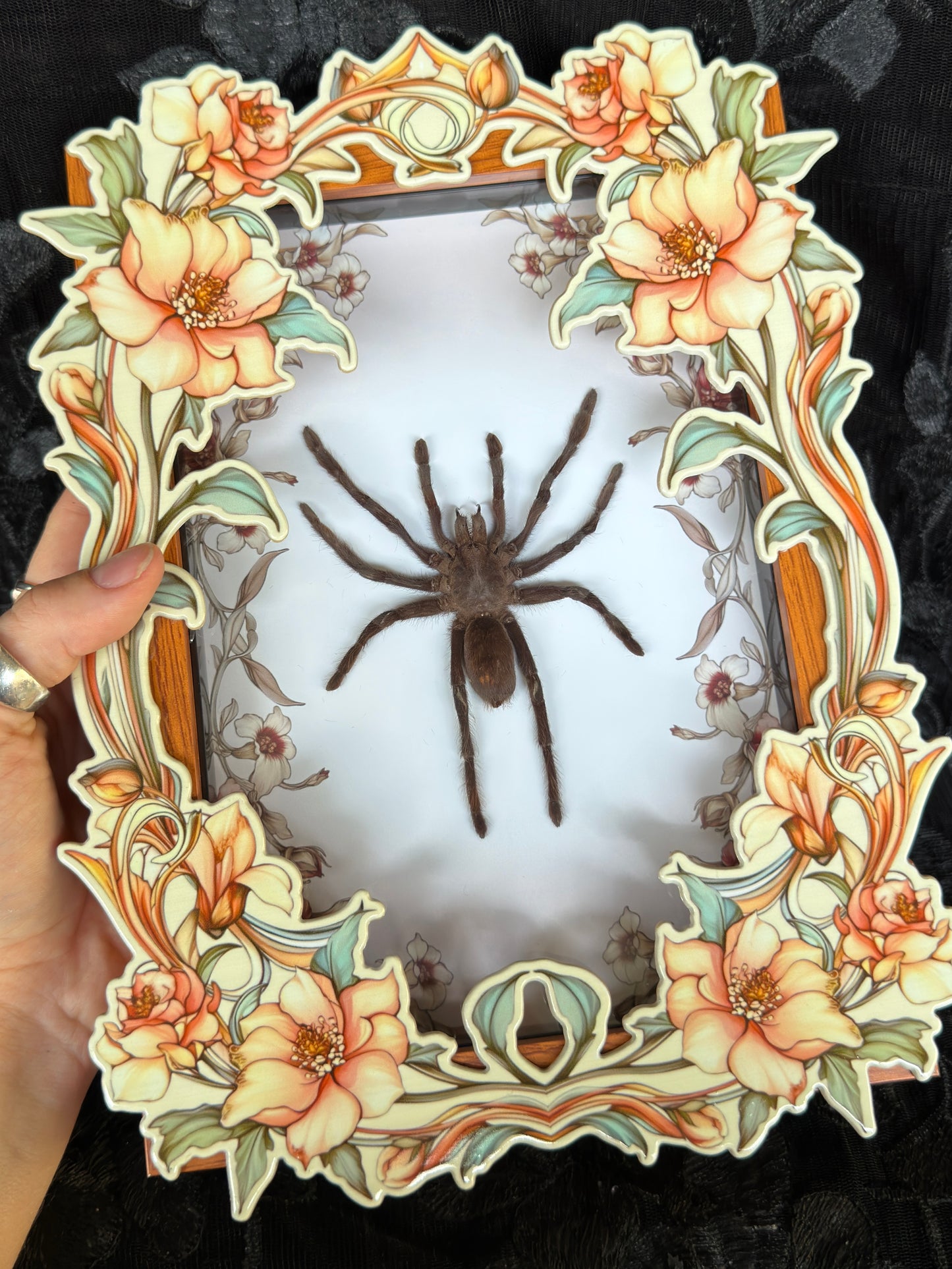 TARANTULA FLORAL FRONT SHADOW BOX