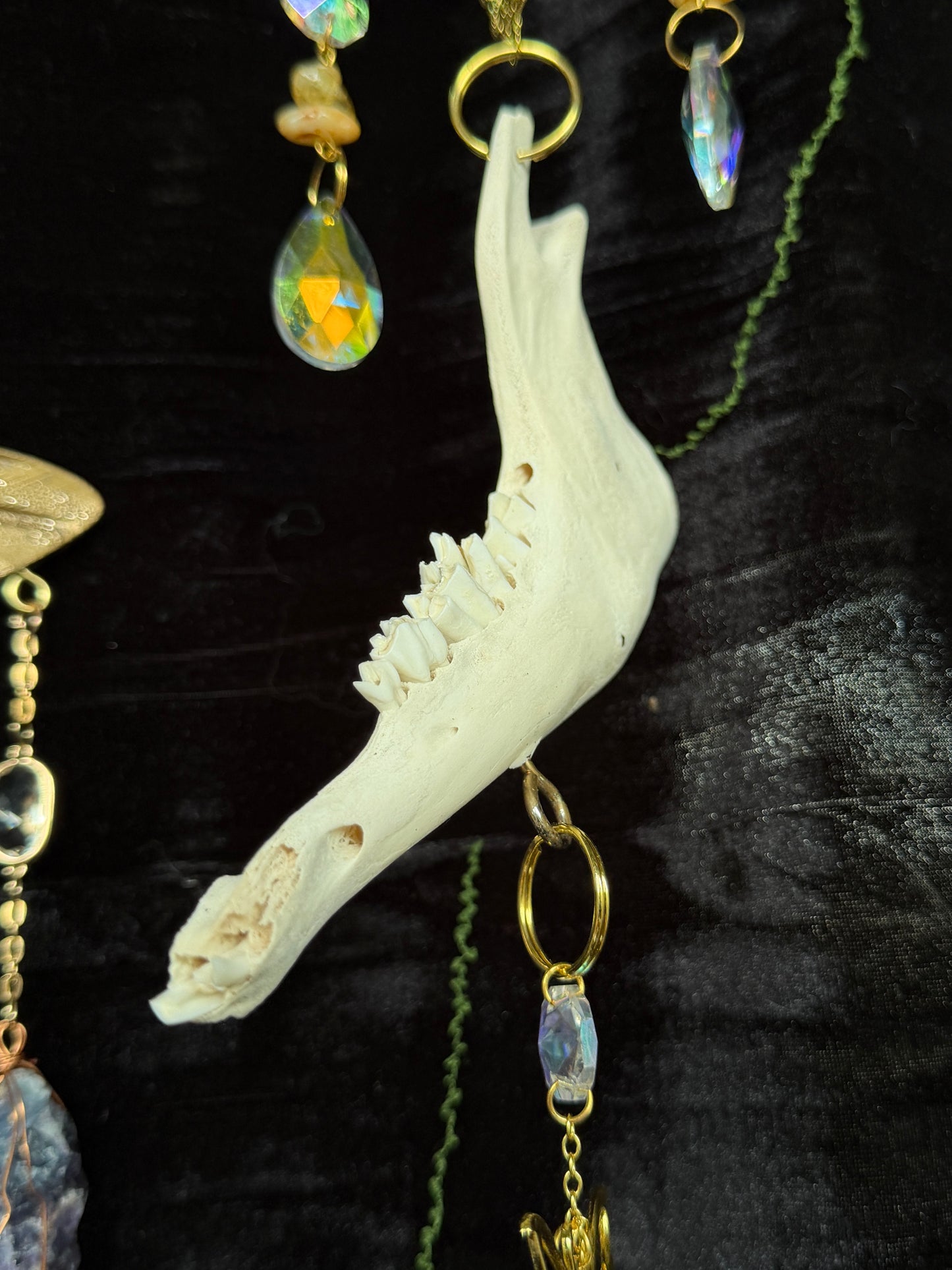 SHEEP MANDIBLE SUN CATCHER - With Citrine Moon