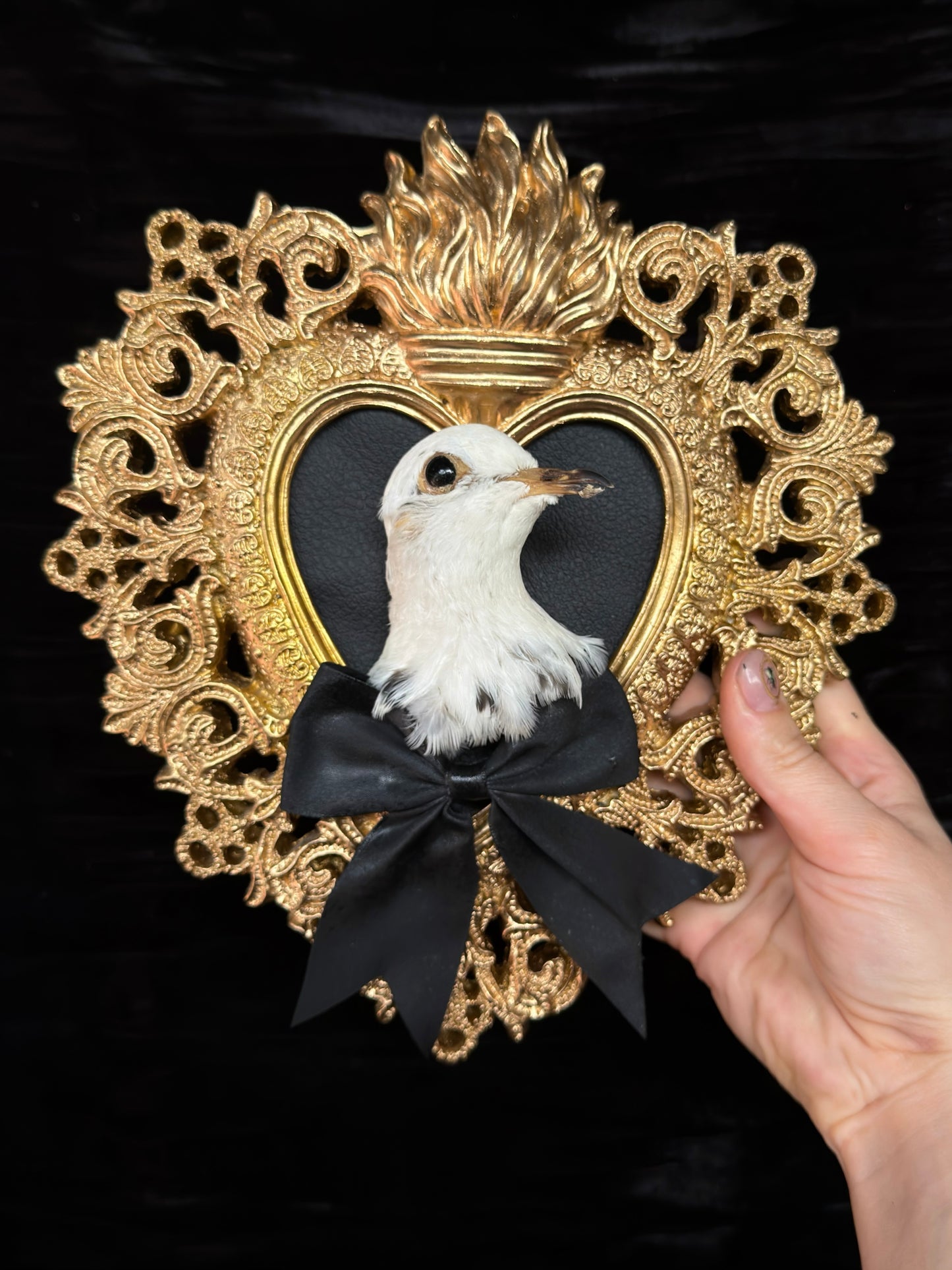 PIGEON HEAD - Mother of Hades Gold Heart Open Display Frame