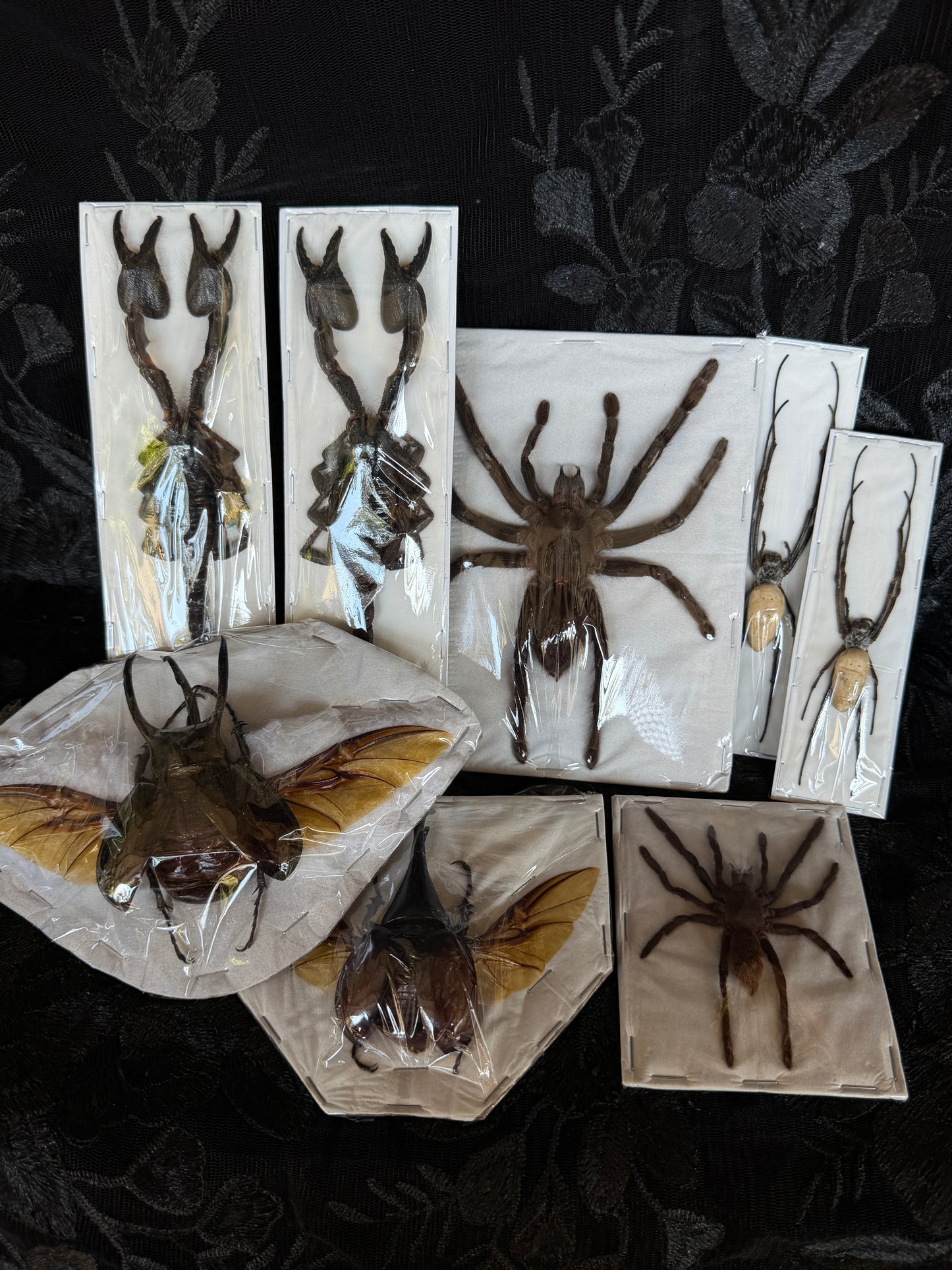 GOTH CRITTER PACK - destash pack