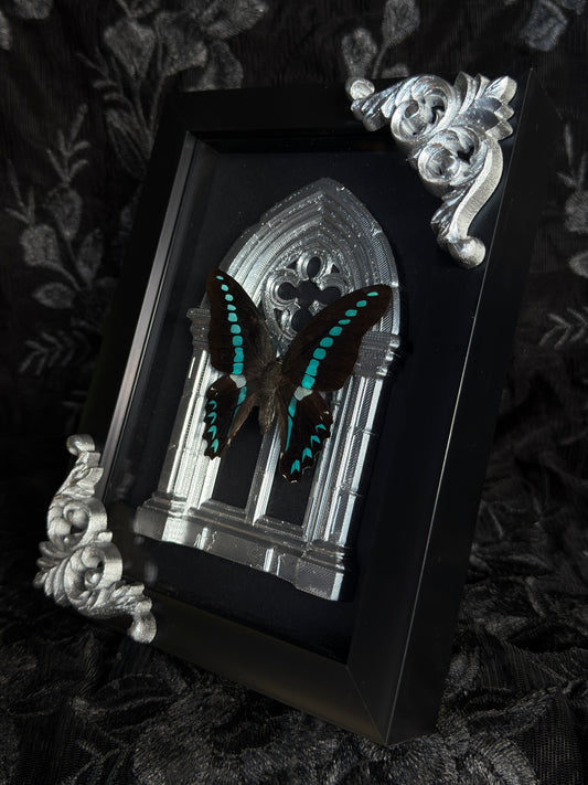 MILON MILON BUTTERFLY - Mother of Hades Butterfly Collection