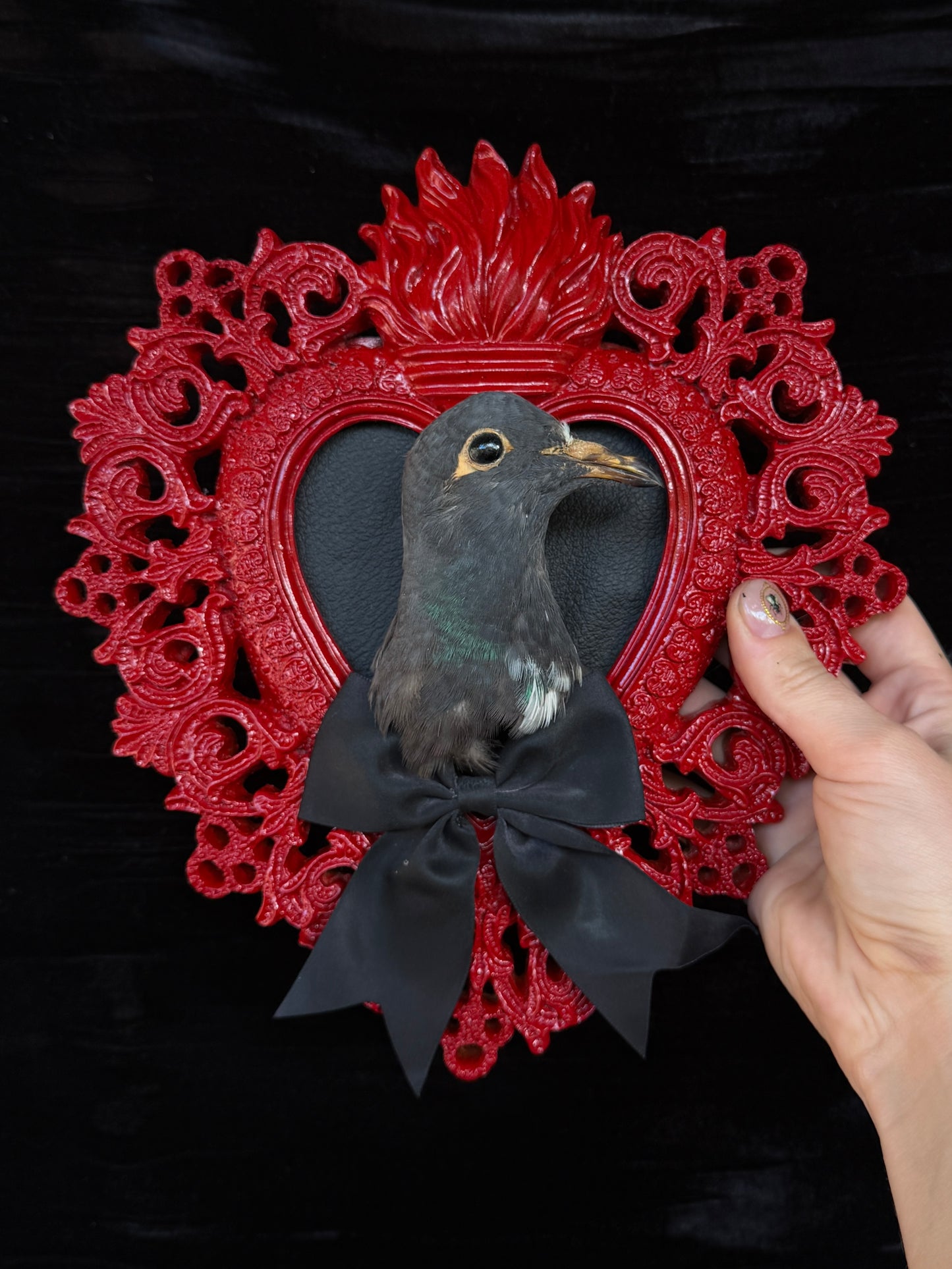 PIGEON HEAD - Mother of Hades Red Heart Open Display Frame