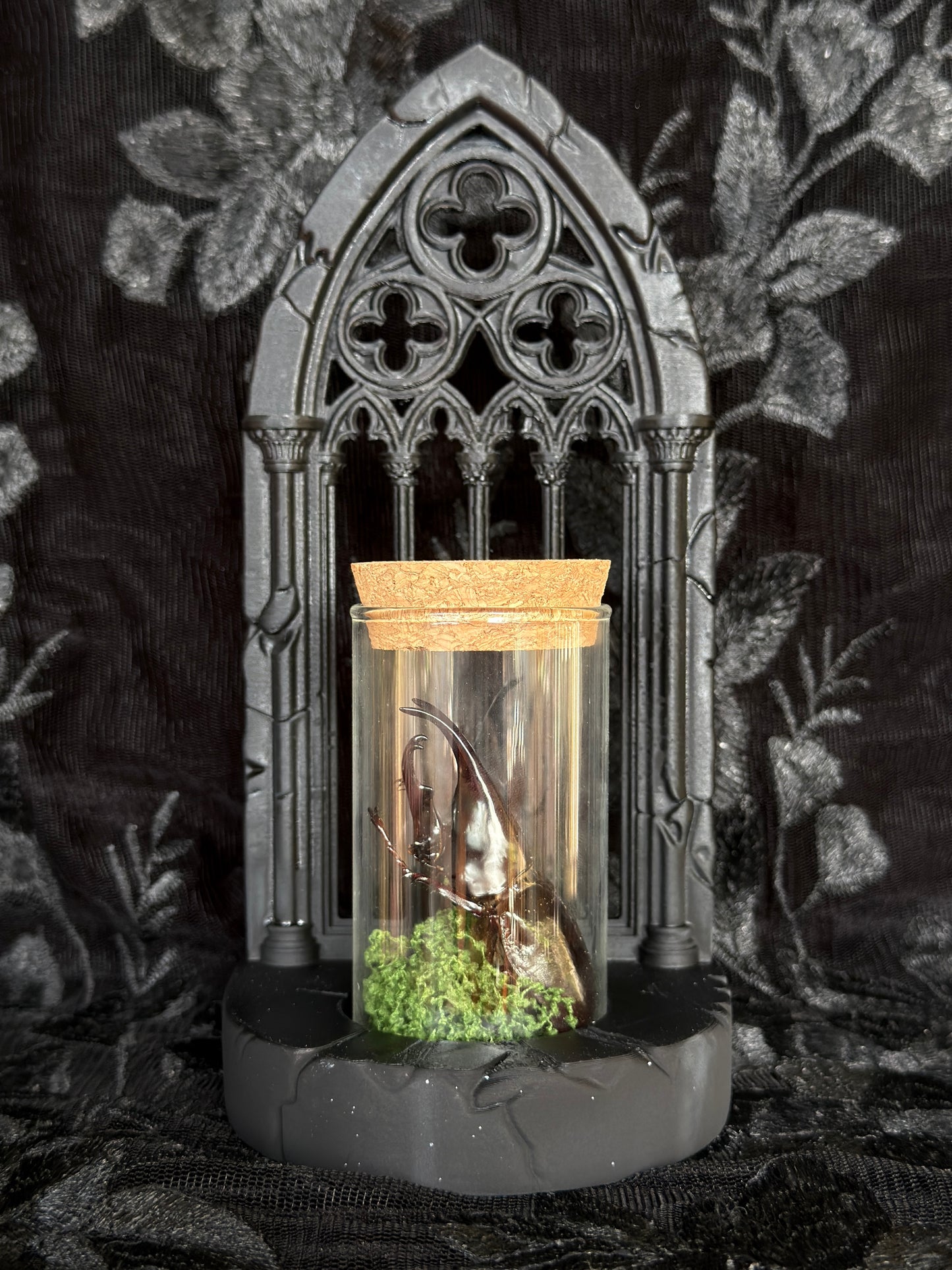 GOTHIC ARCH SPECIMEN COMBO