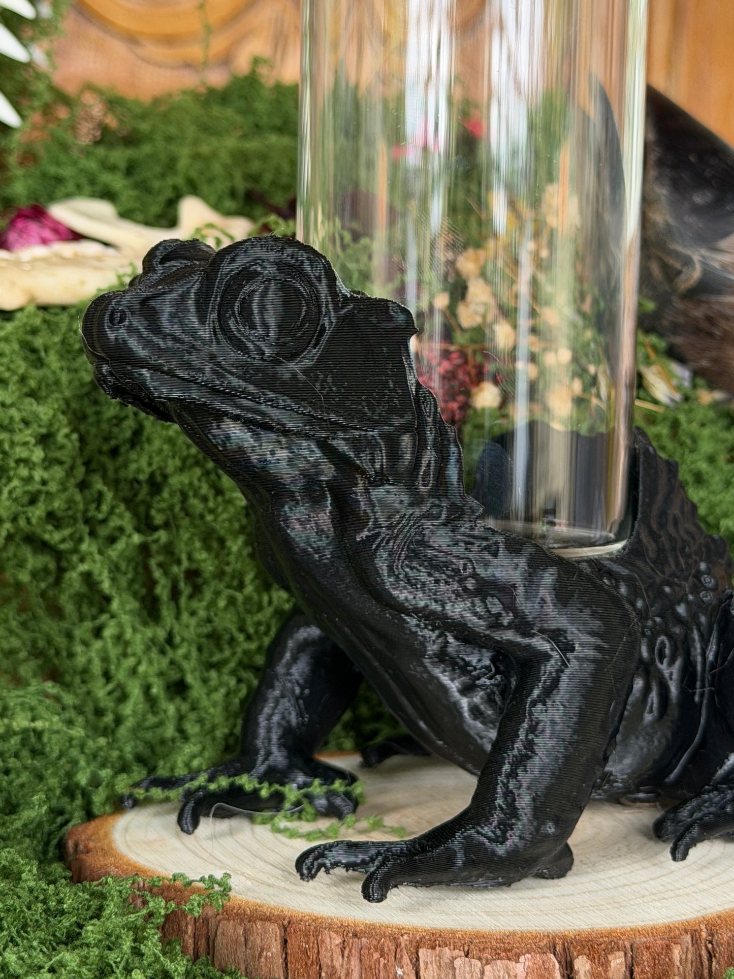 TOAD JAR CADDY - Empty Jar with Critter Caddy