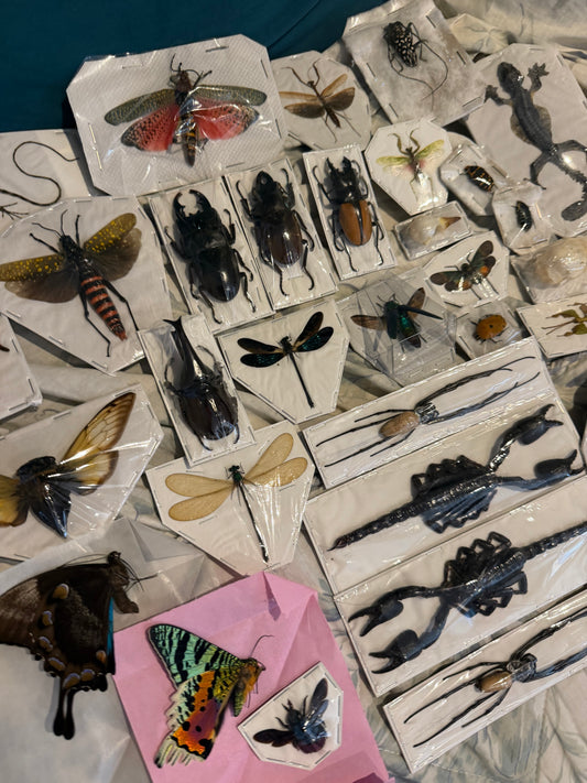 SPECIMEN MYSTERY PACK - 30 PIECES