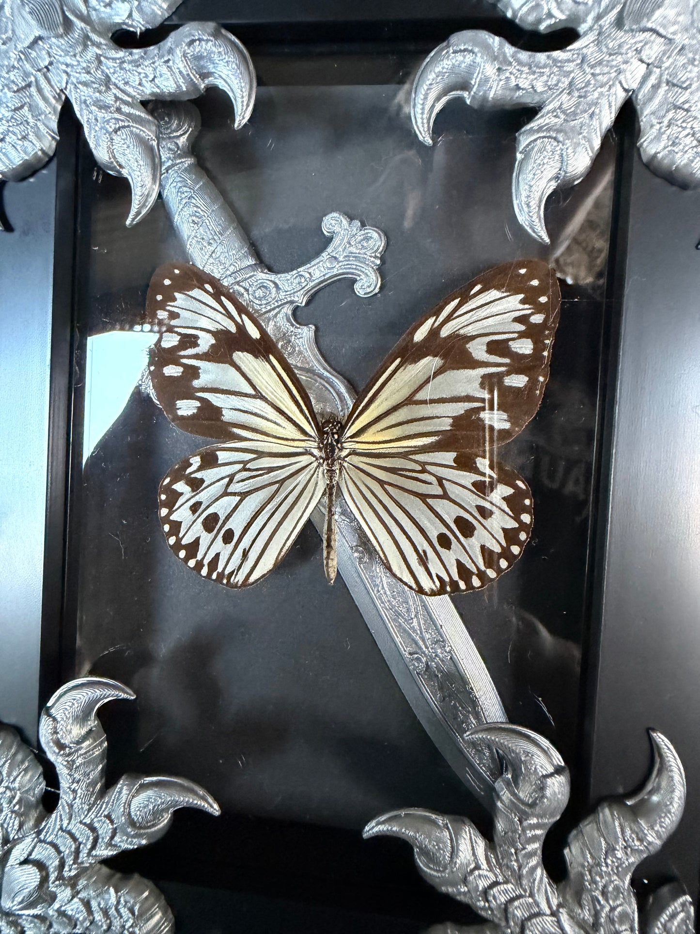 CLAW AND DAGGER - silver specimen frame