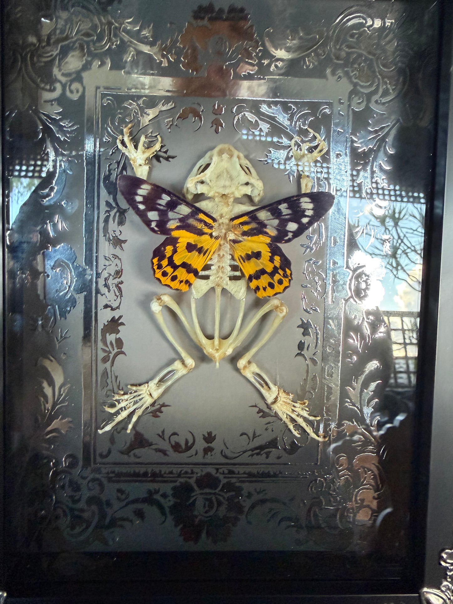 SILVER SUNSET TOAD FAIRY - silver a5 specimen frame
