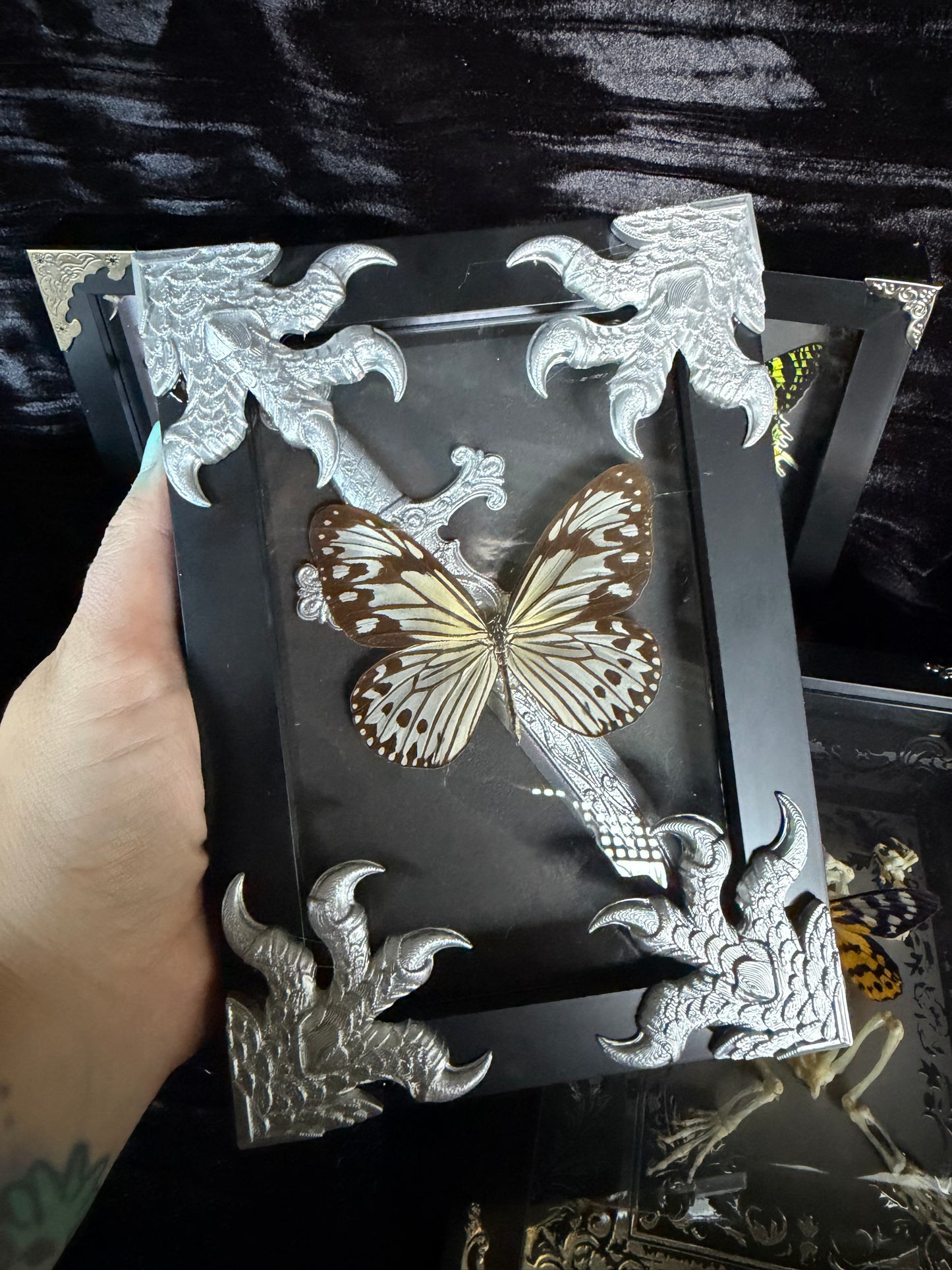 CLAW AND DAGGER - silver specimen frame