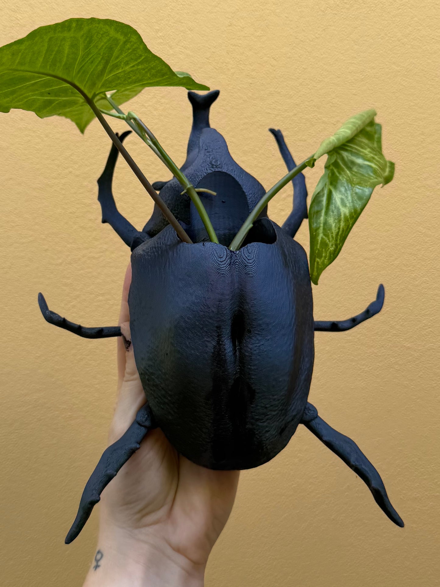 Black Rhino beetle-shaped vase with green leaves against a beige background
