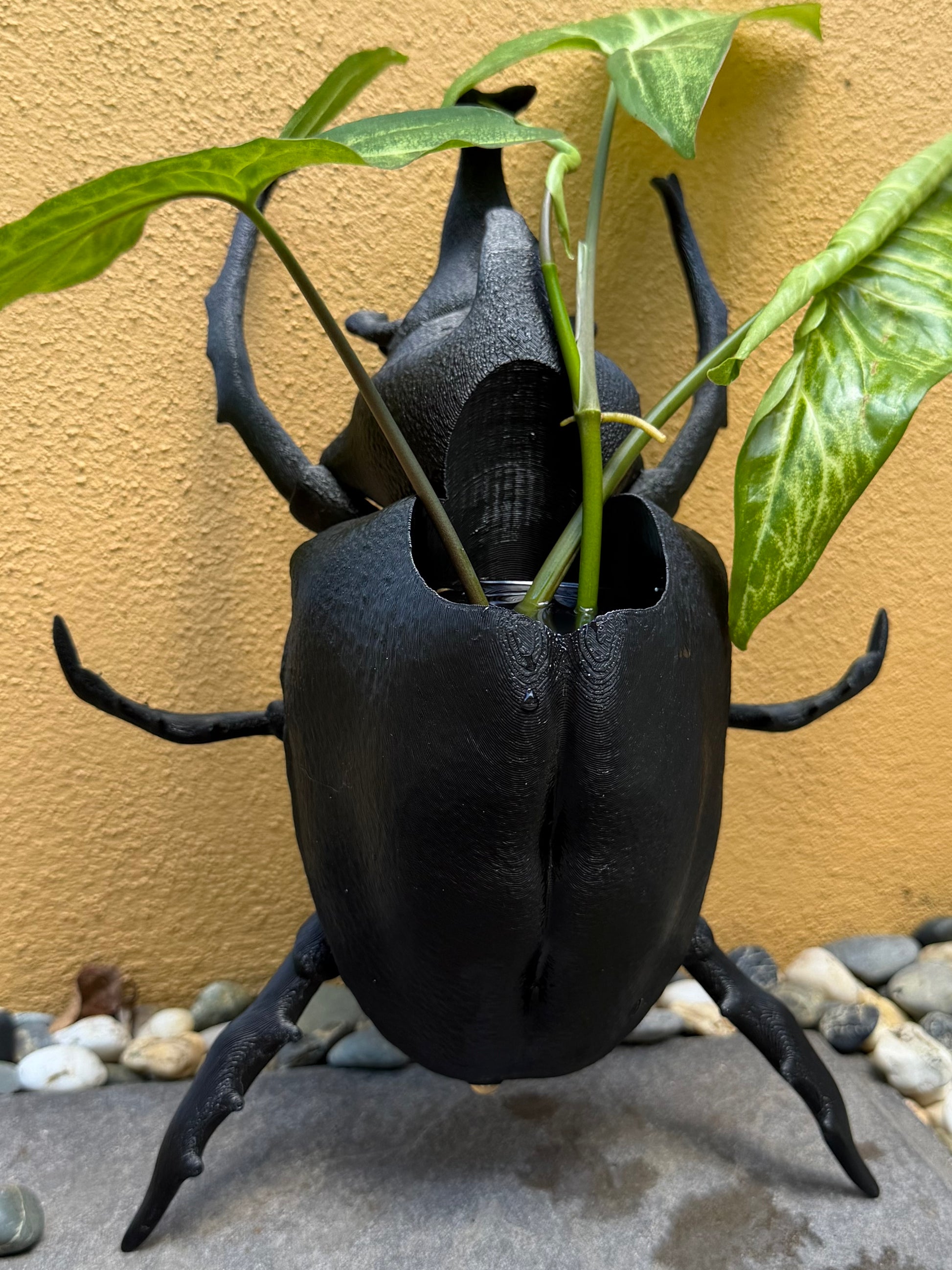 Black beetle-shaped planter with a plant against a beige wall.