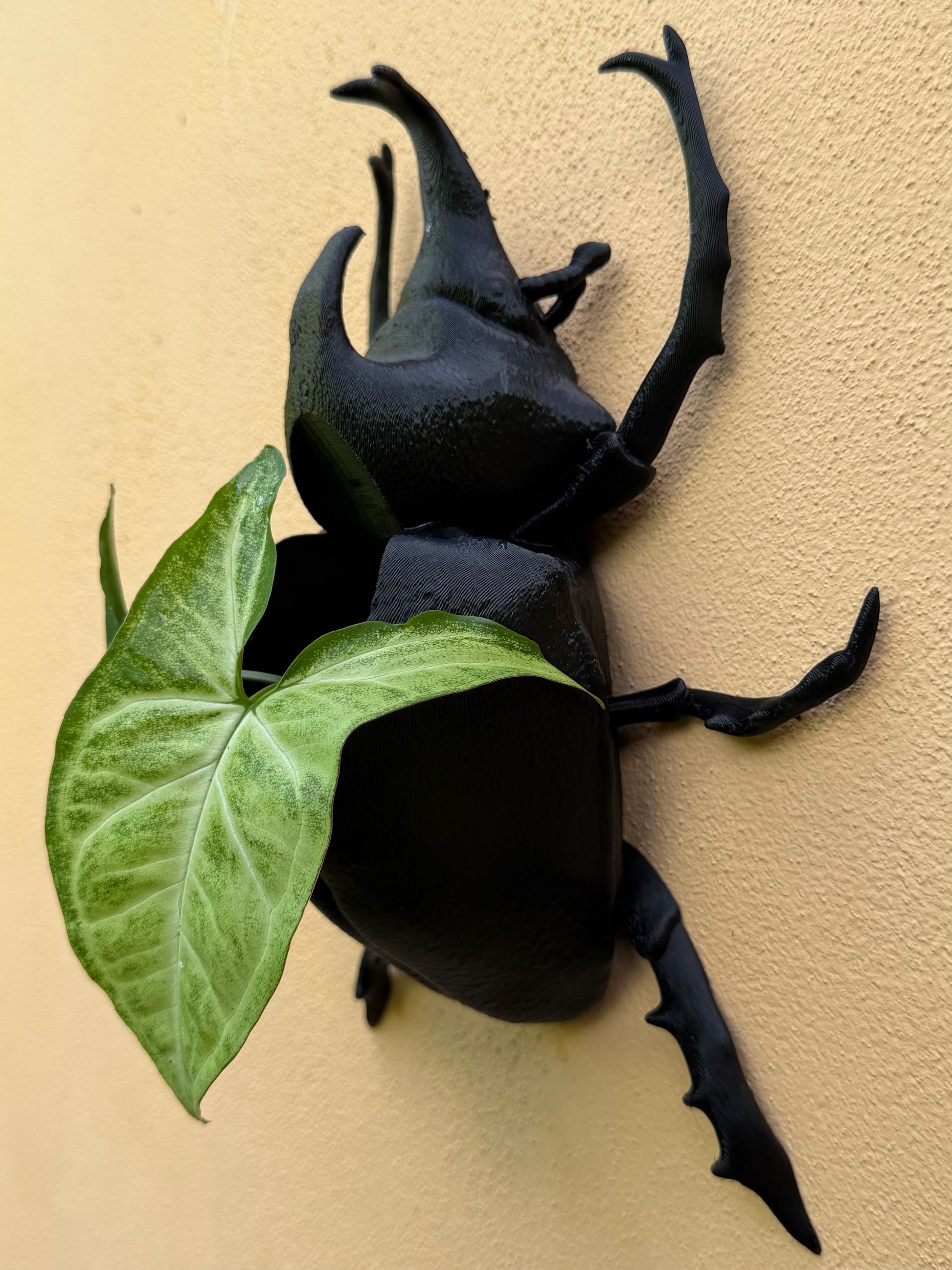 Black beetle wall decoration with a green leaf on a beige background